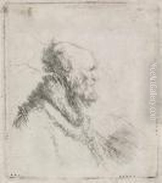 Bald Old Man With Short Beard Oil Painting by Harmenszoon van Rijn Rembrandt
