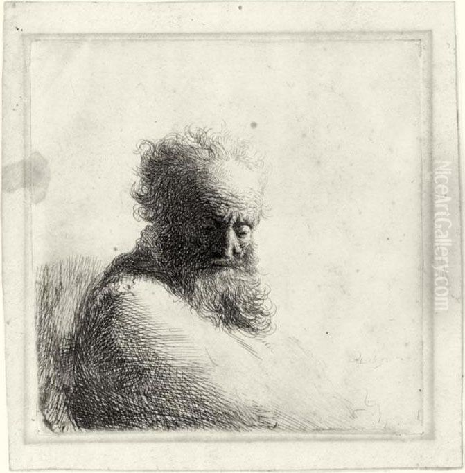 Bust Of An Old Bearded Man, 
Looking Down, Three Quarters Right (b., Holl. 260; H.47; Bb. 37-e) Oil Painting by Harmenszoon van Rijn Rembrandt