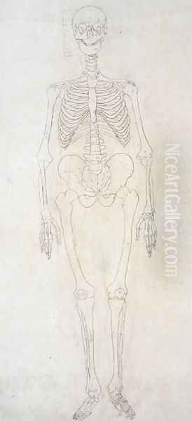 Study of the Human Figure, Anterior View, from A Comparative Anatomical Exposition of the Structure of the Human Body with that of a Tiger and a Common Fowl, c.1795-1806 3 Oil Painting by George Stubbs