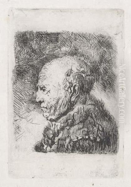 Bald Old Man In Profile: Bust Oil Painting by Harmenszoon van Rijn Rembrandt