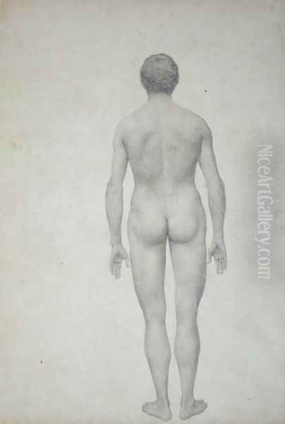 Study of the Human Figure, Posterior View, Undissected, Finished Study for Table VII, from A Comparative Anatomical Exposition of the Structure of the Human Body with that of a Tiger and a Common Fowl, 1795-1806 Oil Painting by George Stubbs