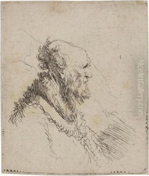 Bald Old Man With A Short Beard Oil Painting by Harmenszoon van Rijn Rembrandt