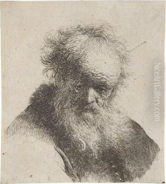 Bust Of An Old Man With Flowing Beard And White Sleeve (b., Holl.291; H.26; Bb.30-10) Oil Painting by Harmenszoon van Rijn Rembrandt