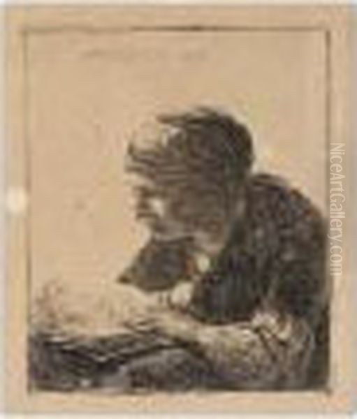 Woman Reading (b., Holl.345; H.113; Bb.34-d) Oil Painting by Harmenszoon van Rijn Rembrandt