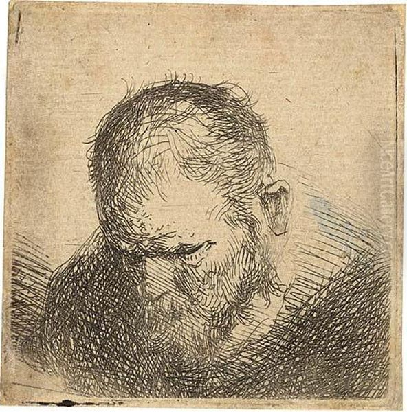 Small Bust Of A Bearded Man Looking Down Oil Painting by Harmenszoon van Rijn Rembrandt