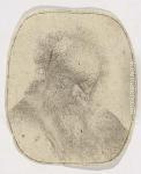 Bust Of An Old Man With Flowing Beard And White Sleeve Oil Painting by Harmenszoon van Rijn Rembrandt