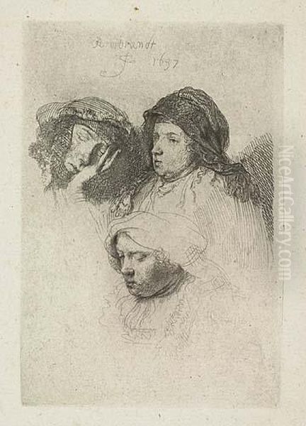 Three Heads Of Women: One Asleep<</b> Oil Painting by Harmenszoon van Rijn Rembrandt