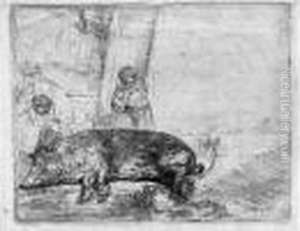 La Truie. 1643 Oil Painting by Harmenszoon van Rijn Rembrandt