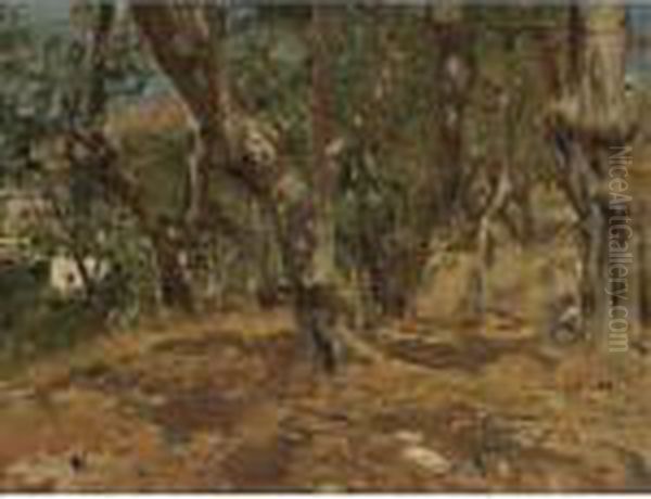 Landscape Study, Capri Oil Painting by Repin Iliya