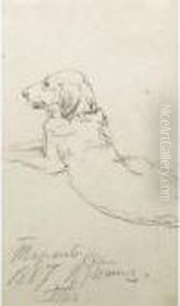 Study Of A Dog Oil Painting by Repin Iliya