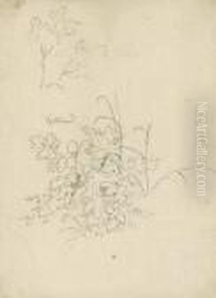 Schollkraut Oil Painting by Adrian Ludwig Richter