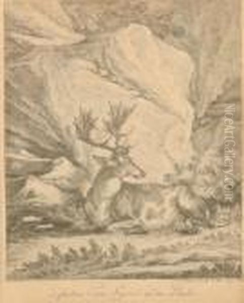 Gefleckter Tam-hirsch In Der Ruhe Oil Painting by Johann Elias Ridinger or Riedinger