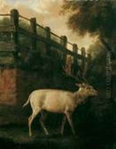 Ein Weisser Damhirsch Im
 Gehege. Oil Painting by Johann Elias Ridinger or Riedinger