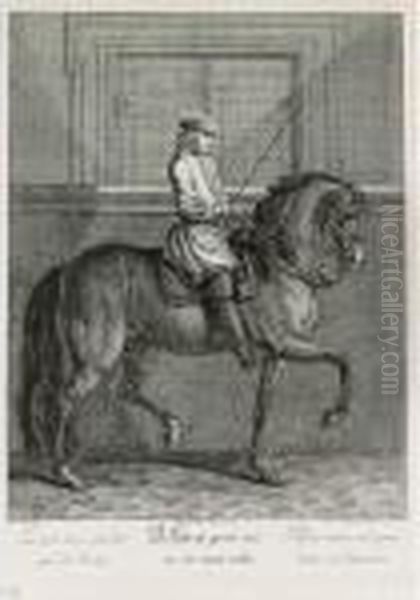 Neue Reit Schul Vorstellend 
Einen Vollkommenen Reiter In Allen Lectionen.