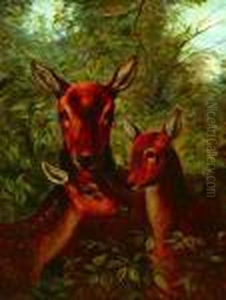 A Mother Doe With Her Fawns Oil Painting by Clarence Roe