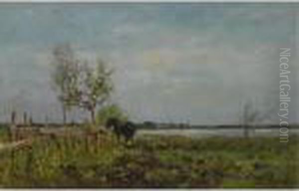 A Horse In A Summer Landscape Oil Painting by Willem Roelofs