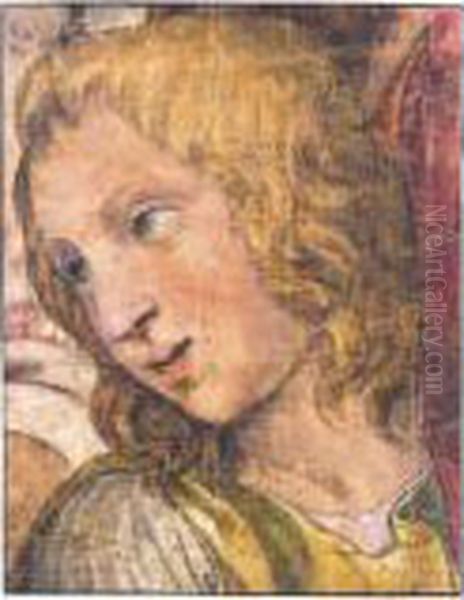 Head Of A Youth Oil Painting by Giulio Romano (Orbetto)