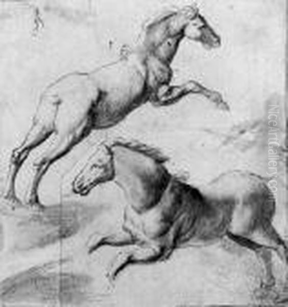 Study Of Two Horses Jumping Oil Painting by Giulio Romano (Orbetto)