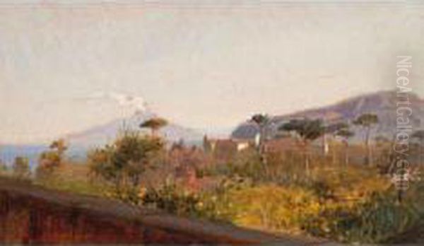 Marina Col Vesuvio Oil Painting by Federico Rossano