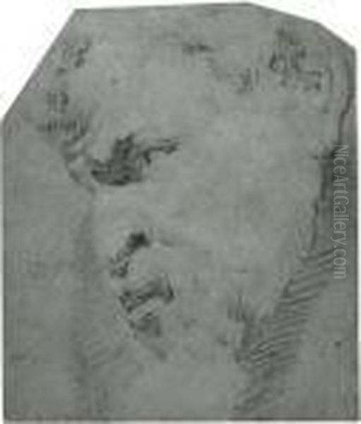 Etude De Tete De Satyre De Profil Gauche Oil Painting by (studio of) Rubens, Peter Paul