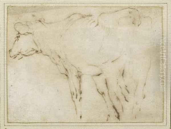 Study Of A Cow Oil Painting by (studio of) Rubens, Peter Paul