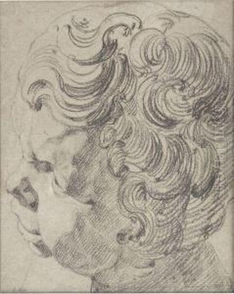 Etude De Tete Oil Painting by (studio of) Rubens, Peter Paul