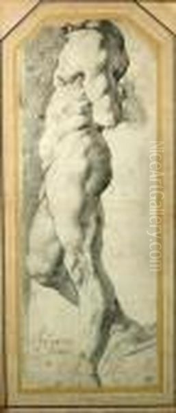 A Study Of A Standing Male Nude Oil Painting by (studio of) Rubens, Peter Paul
