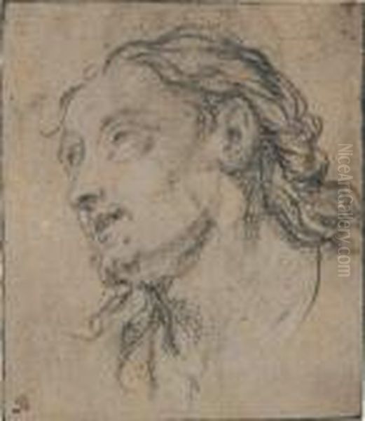 Tete D'homme Oil Painting by (studio of) Rubens, Peter Paul