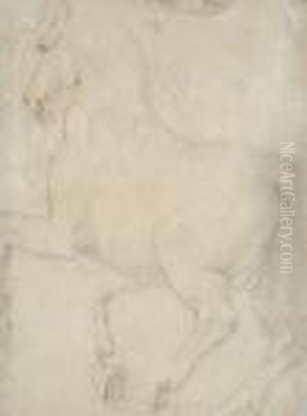 View Of A Horse From Behind Oil Painting by (studio of) Rubens, Peter Paul