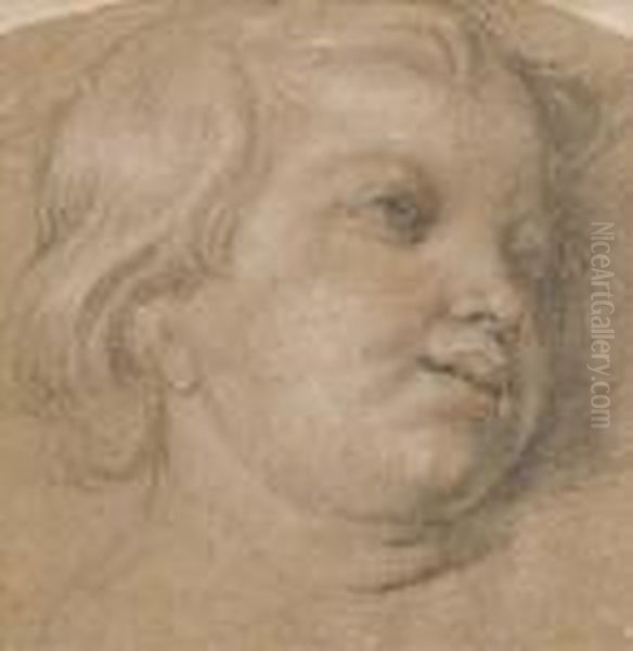 Tete D'enfant Oil Painting by (studio of) Rubens, Peter Paul