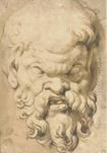 Head Of A Satyr Oil Painting by (studio of) Rubens, Peter Paul