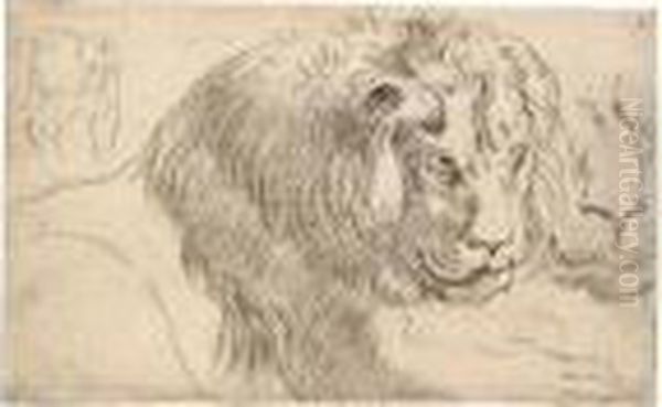 Study Of A Lion In Repose, With A
 Further Study Of Its Face, And Another Study Of The Side Of A Standing 
Lion Or Lioness Oil Painting by (studio of) Rubens, Peter Paul