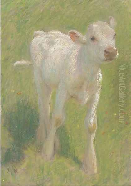 Study of a calf in a summer meadow Oil Painting by Edward Stott