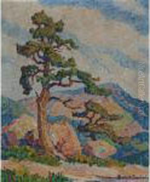Pine Tree In Rocky Mountain National Park Oil Painting by Sven Birger Sandzen