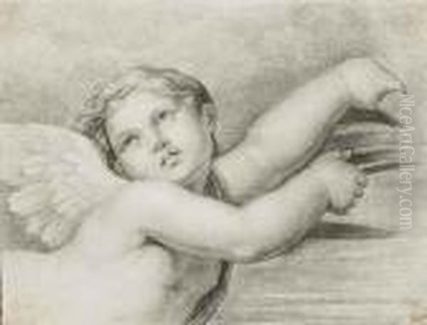 Head Of A Putto Oil Painting by Raphael