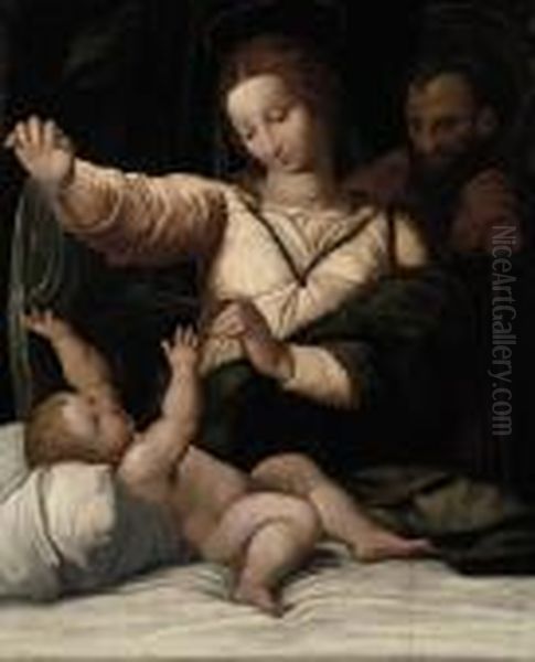 The Madonna Di Loreto Oil Painting by Raphael
