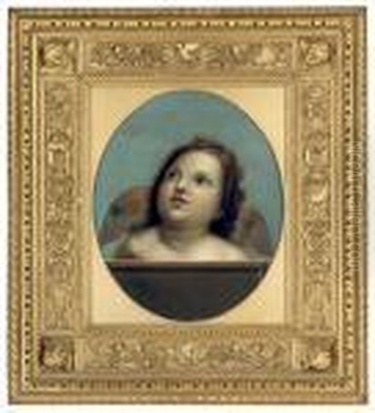 A Winged Putto Oil Painting by Raphael