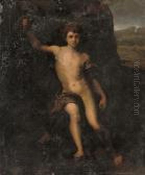 Saint John The Baptist In The Wilderness Oil Painting by Raphael