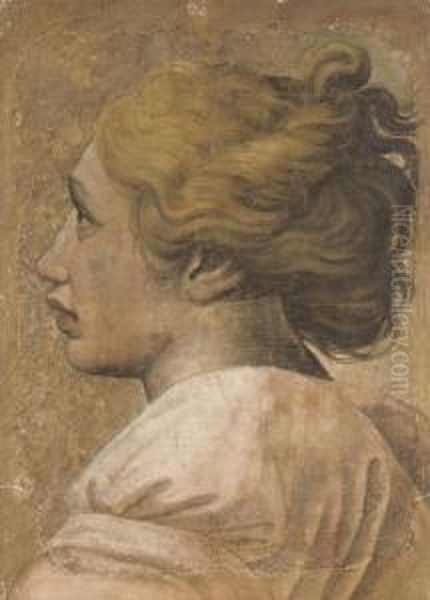 Head Of A Youth In Profile To The Left: Cartoon For A Tapestry Oil Painting by Raphael