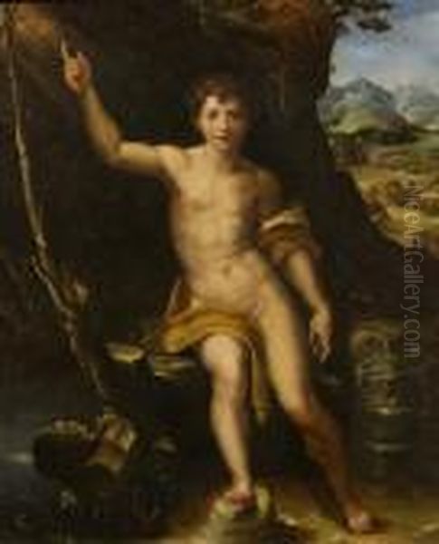 St. John The Baptist In The Desert Oil Painting by Raphael