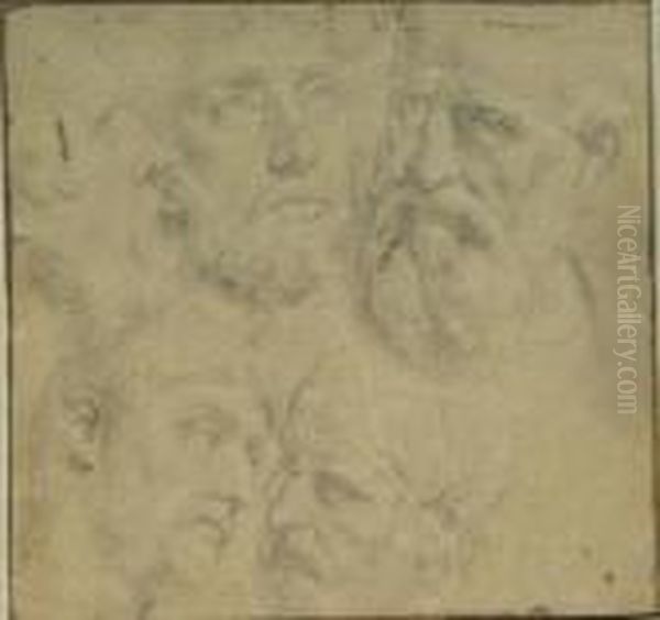 Head Of A Man Oil Painting by Raphael