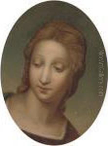 The Madonna Of The Goldfinch Oil Painting by Raphael