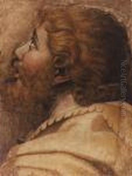 Head Of A Man Looking Up To The Left: A Cartoon For Atapestry Oil Painting by Raphael