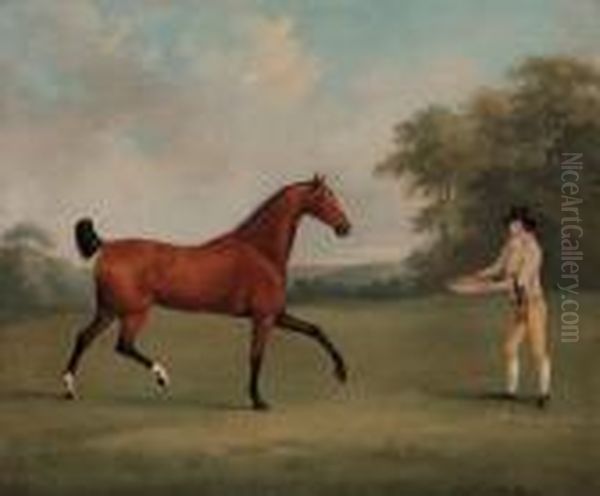A Bay Hunter With A Groom, In A 
Wooded Landscape; And A Saddled Bayhunter Held By A Groom, In A Wooded 
Landscape Oil Painting by John Nost Sartorius