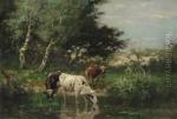 Cows Watering By A Pond In The Dunes Oil Painting by Johan Frederik Corn. Scherrewitz