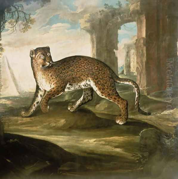 A Jaguar Oil Painting by Andrea Scacciati I