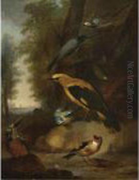 A Study Of A Golden Oriole, A 
Kingfisher, A Great Tit, A Bullfinch And Three Other Songbirds In A 
Landscape Setting Oil Painting by Aert Schouman