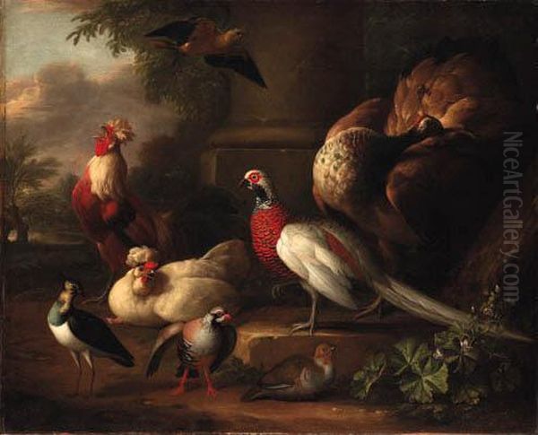 A Peacock, A Pheasant, A Cockerel And Other Birds In Alandscape
Bears Signature And Date 'a.schouman/1746' Oil Painting by Aert Schouman