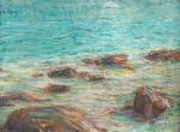 Rochers En Bord De Mer Oil Painting by Claude Emile Schuffenecker