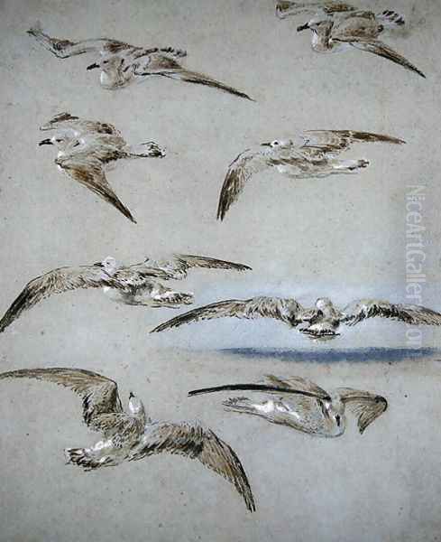 Seven Seagulls Oil Painting by William Clarkson Stanfield